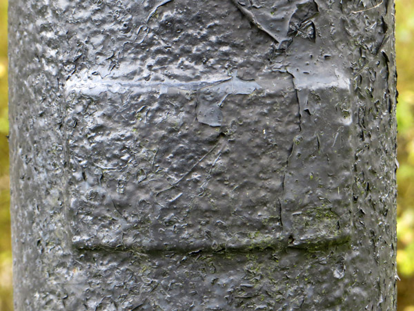 stansted mountfitchet