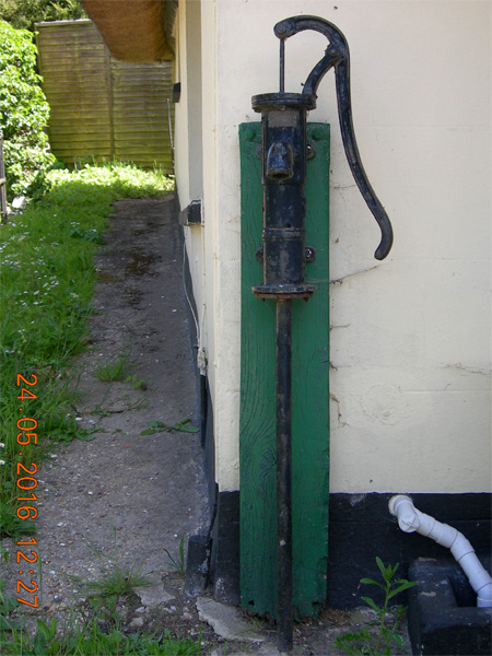 winterborne stickland