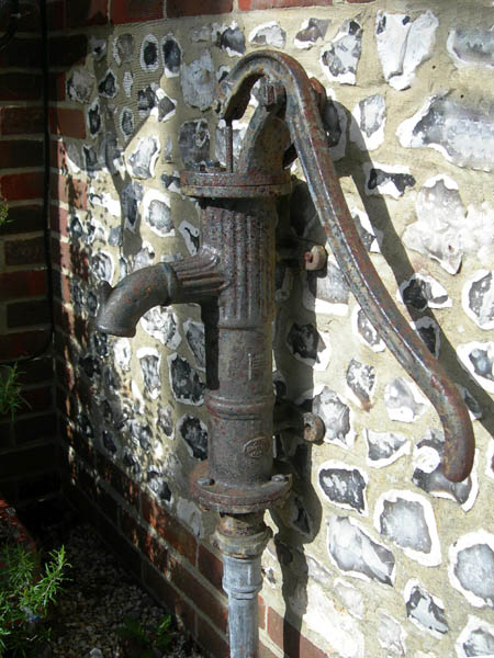 winterborne stickland