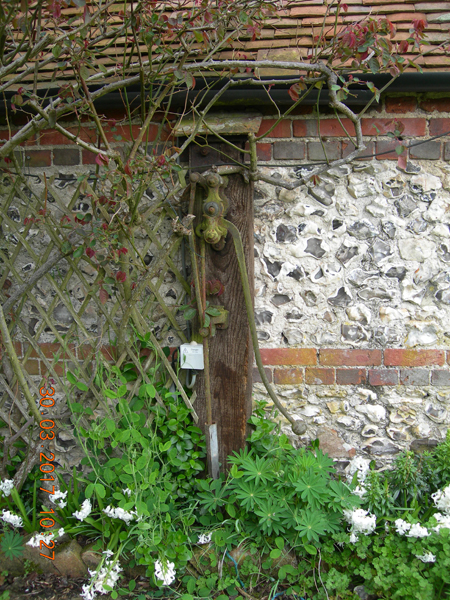 winterborne whitechurch